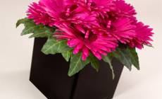 Cream & Browns Florist