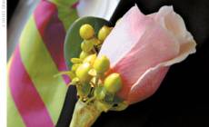 Cream & Browns Florist