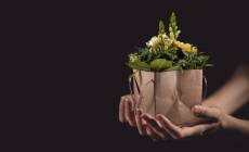 Flowers for occasions